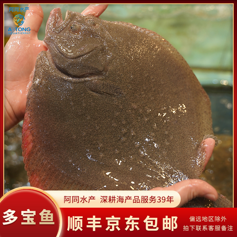 【阿同优选】新鲜多宝鱼 肉质鲜嫩