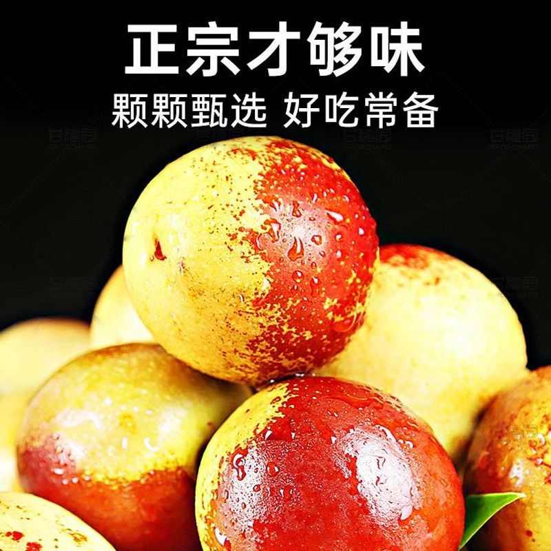 【沾化现摘】山东鲜冬枣非陕西爽口新鲜青枣甜脆枣大枣整箱现发皮