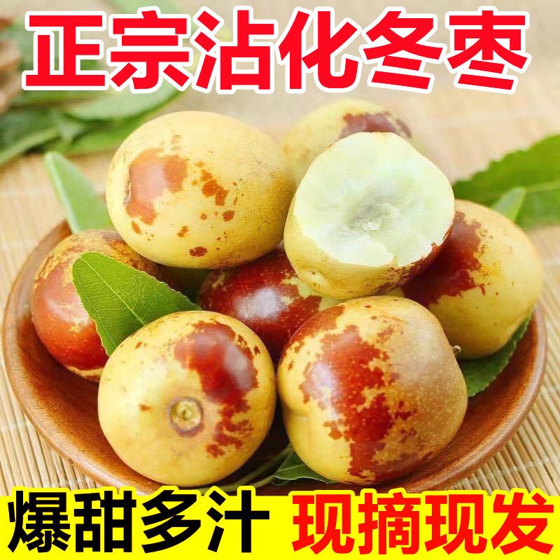 正宗山东滨州沾化冬枣3斤现货现摘脆甜多汁地头发货坏果包赔