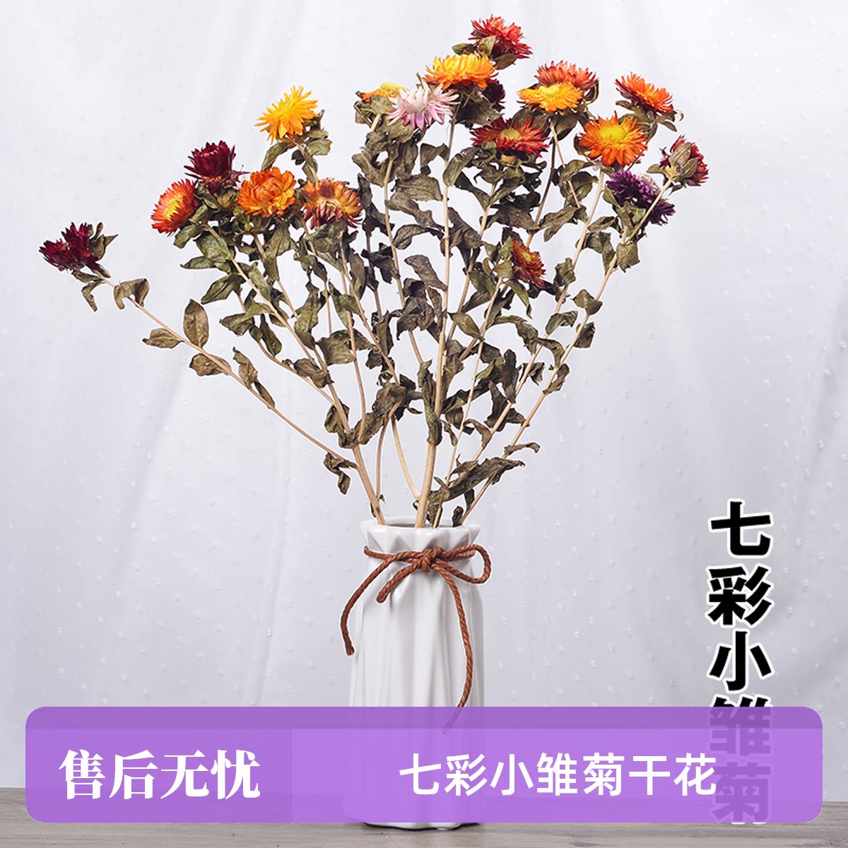 七彩小雏菊装饰天然真花客厅卧室永生生日花束