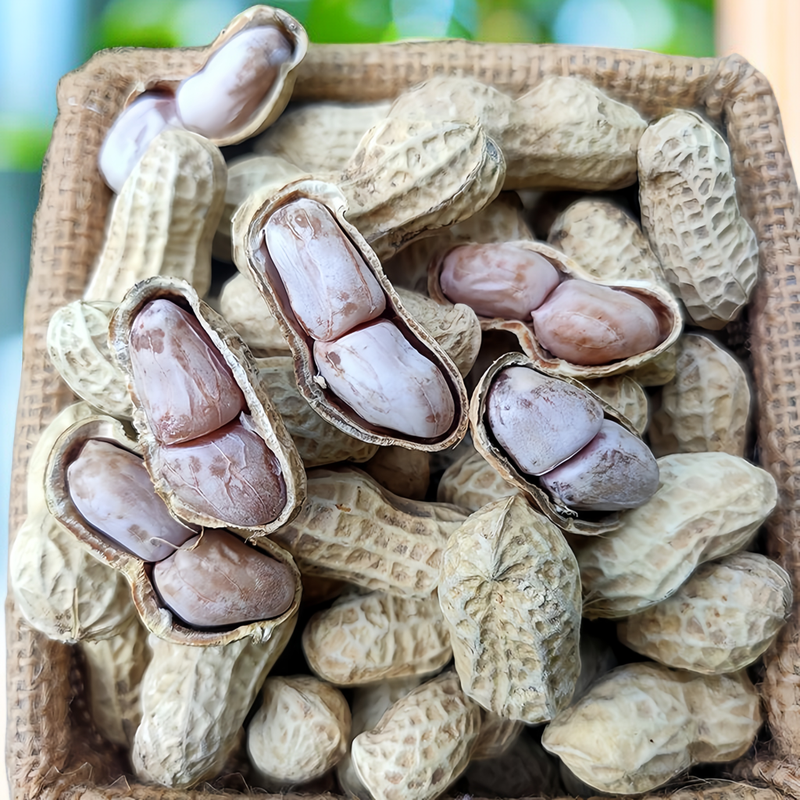 忠信水煮咸干花生日晒咸干农家软糯鲜甜入味好吃不上火观赛搭子