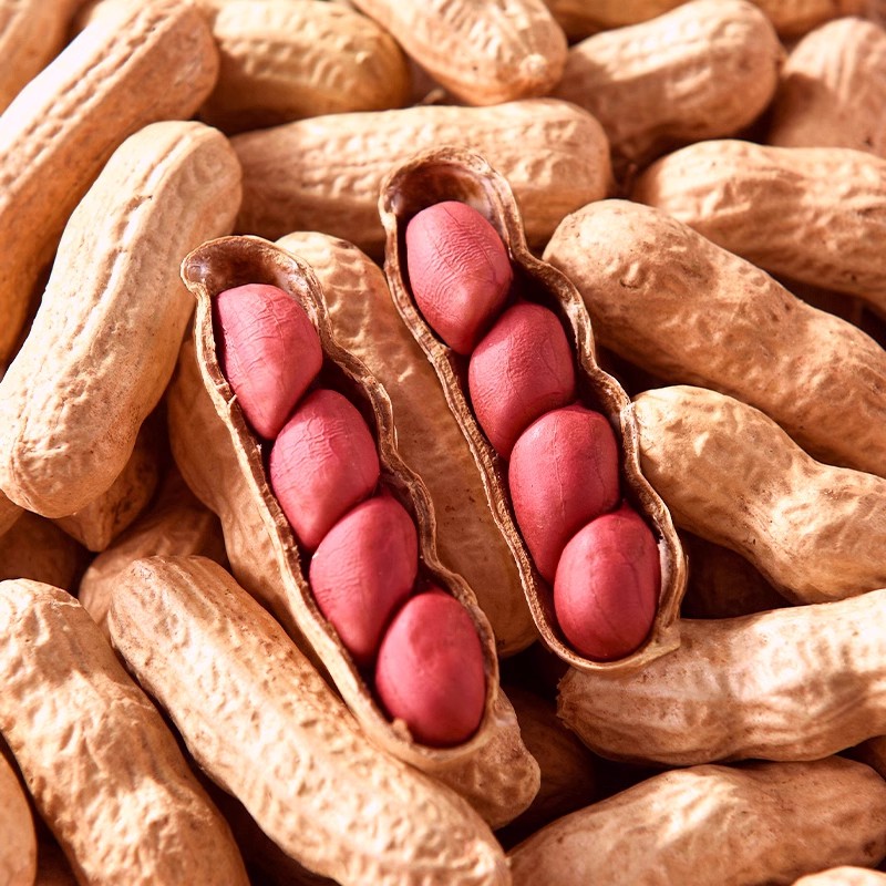 带壳生花生农家自种自然晾晒红皮花生米生新货四粒红花生原味花生
