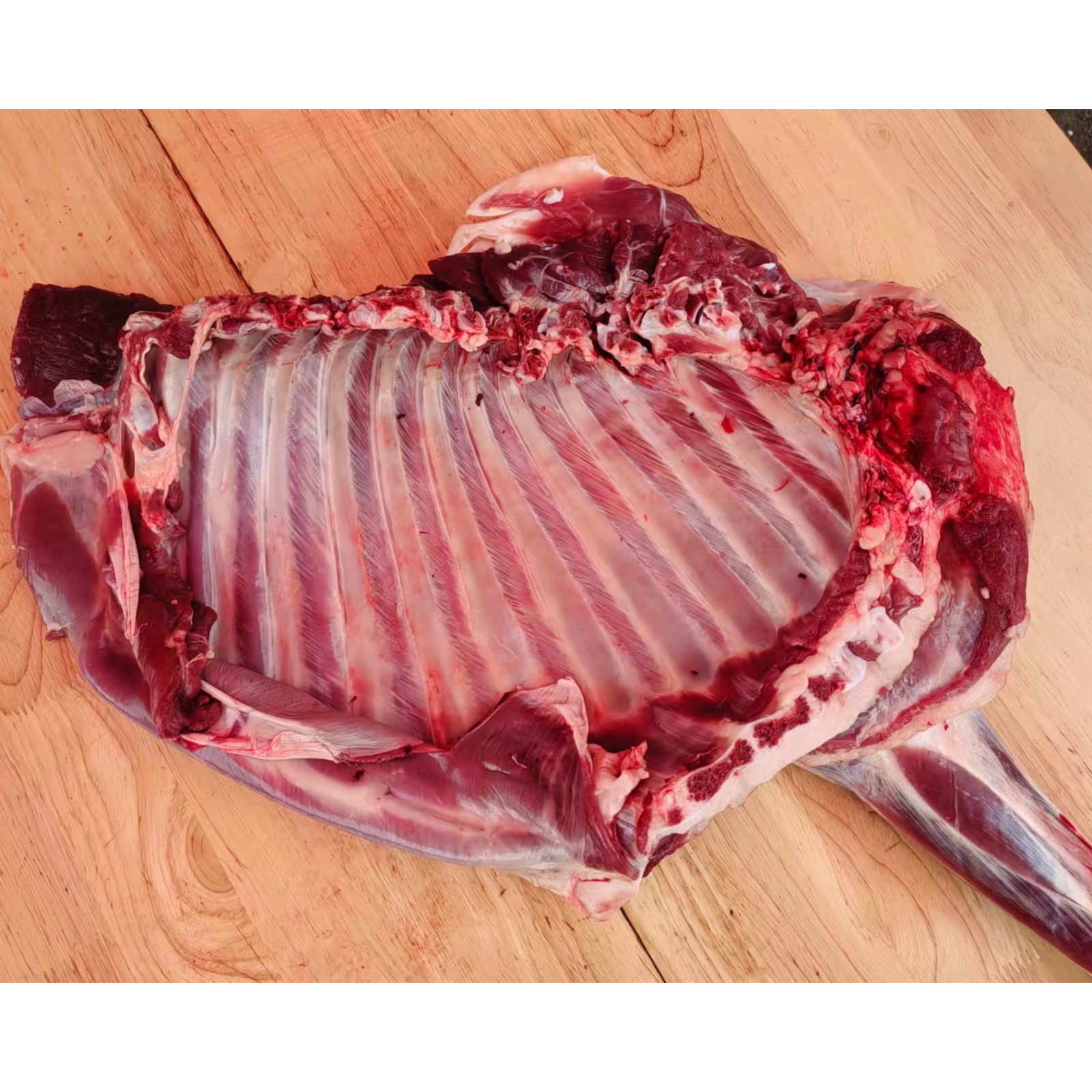新鲜小山羊前腿带排【直播间现场称重为准。分割不退】