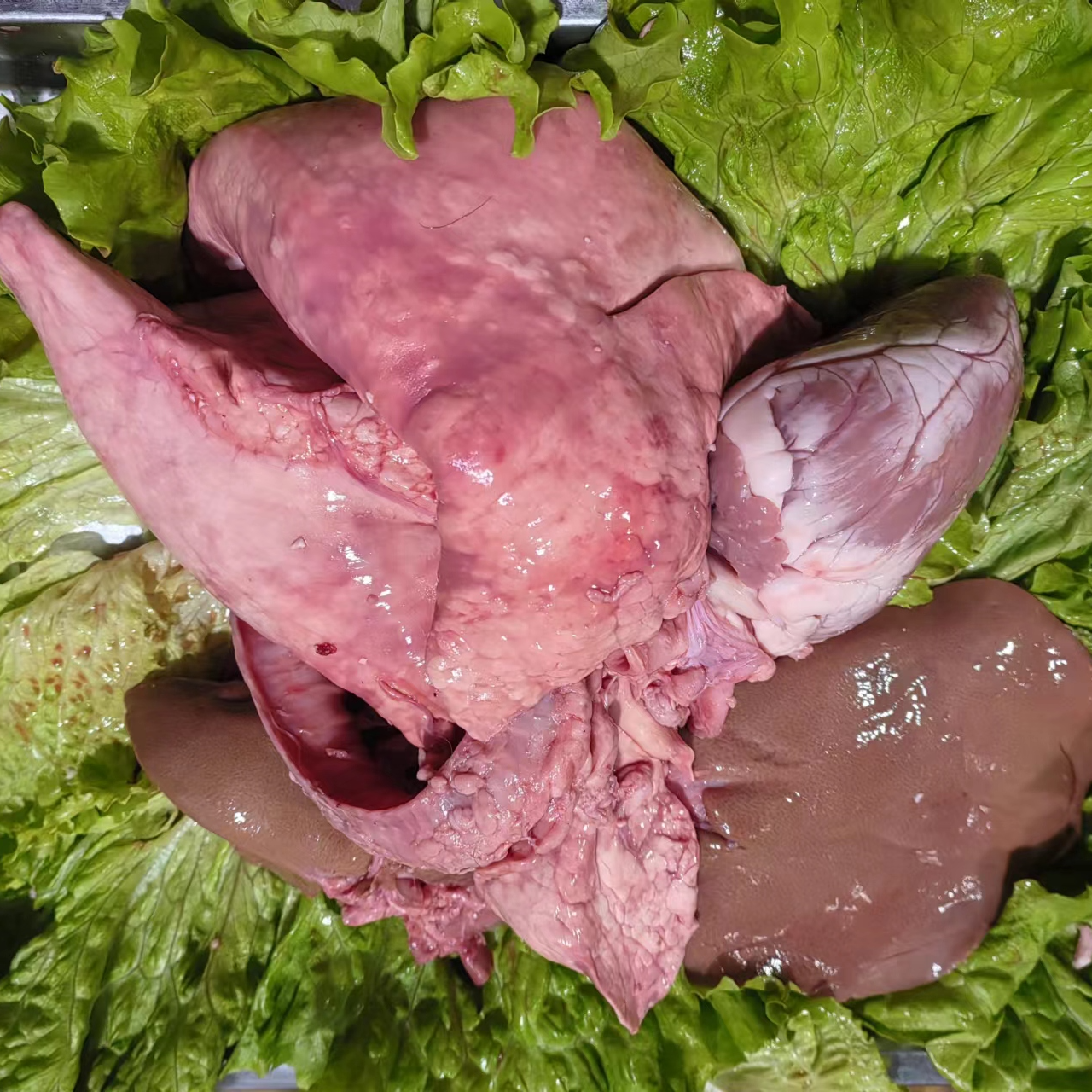 小山羊新鲜羊心肝肺顺丰包邮【现场称重上链接】