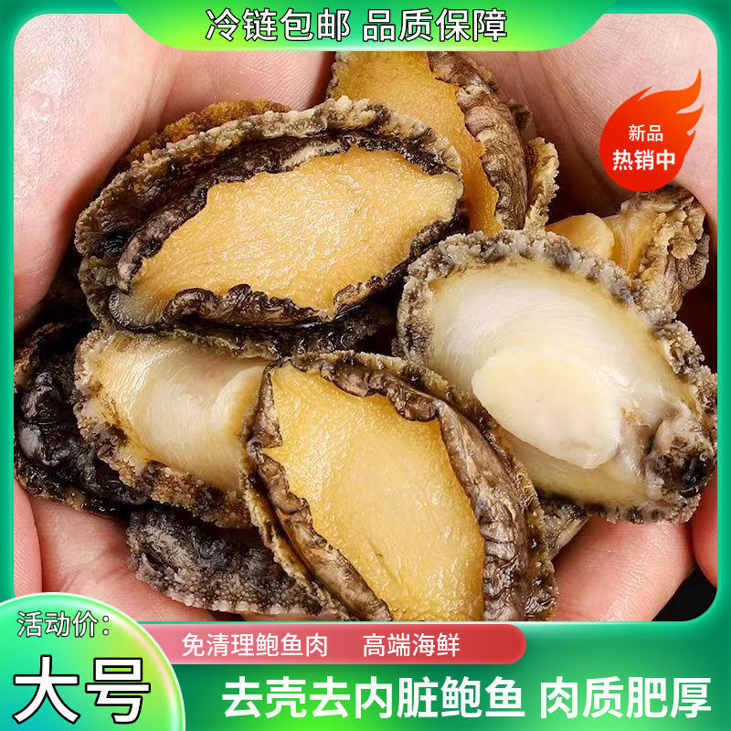 【鲜冻】5-6厘米大号精选7头鲍鱼纯肉现剥10只+10只共发20只九孔鲍