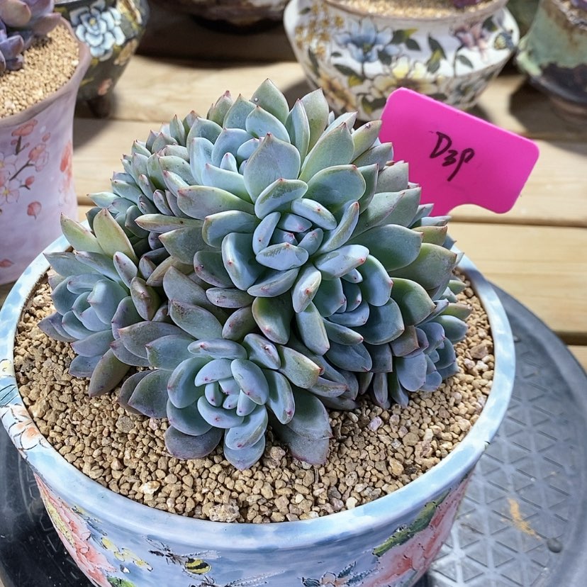 【闪购商品】刘****）20231219-D39