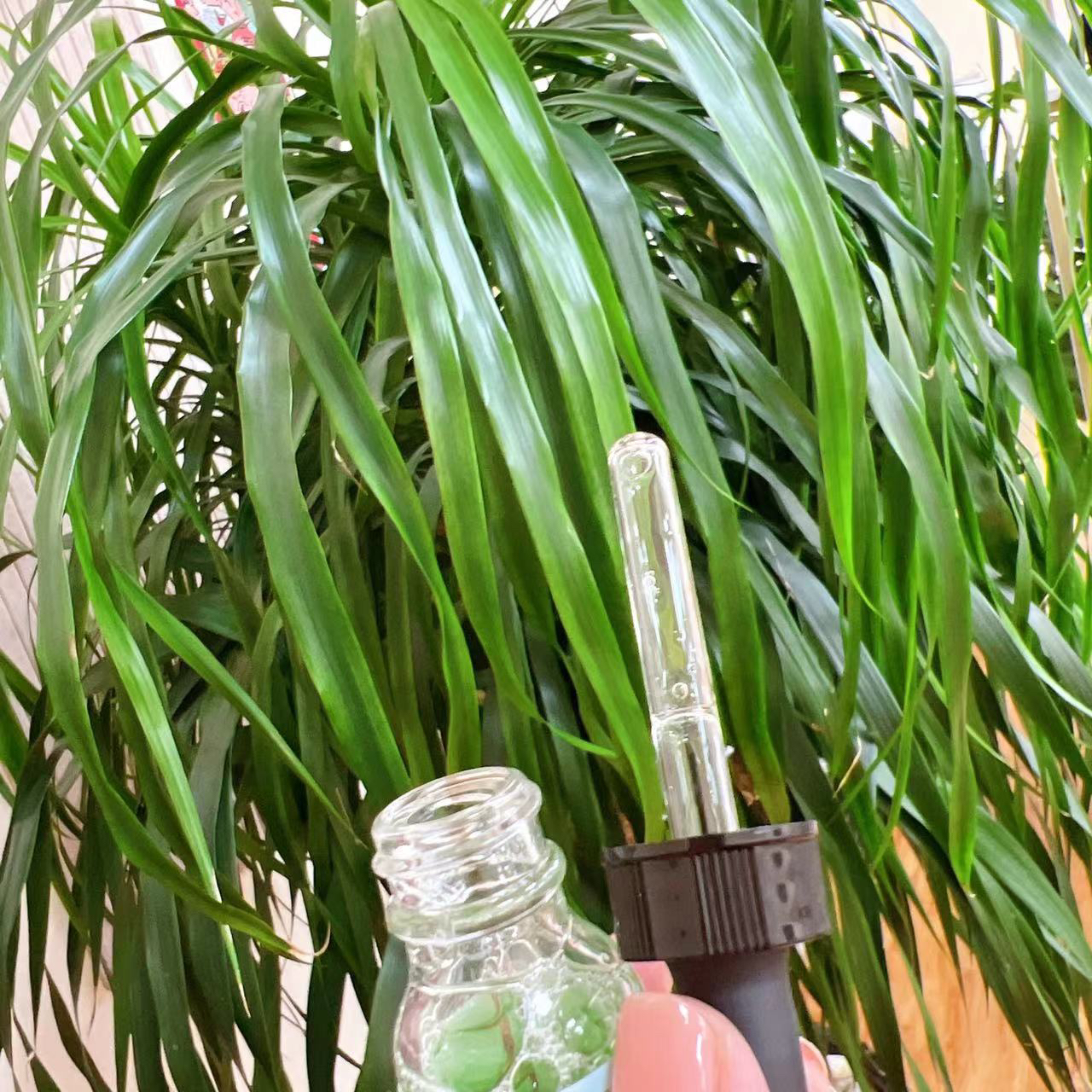 【稀缺大规格！】多维修红 绿色植萃舒缓修护精华露！