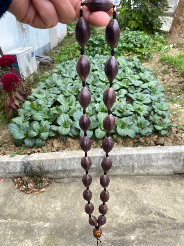 橄榄核紫皮脖挂，尺寸1.73.1