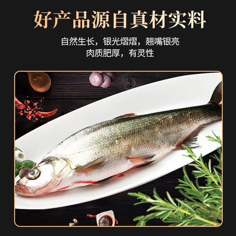 【推荐买5条】单条净重：2.5-3.0斤大水库生态翘嘴鲌新鲜大白刁