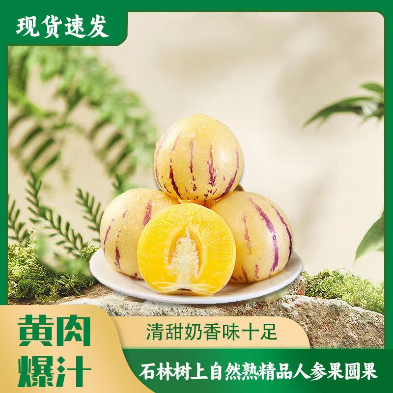 【云南石林人参果】新鲜应季孕妇低糖水果树上熟超甜黄心黄肉树上熟