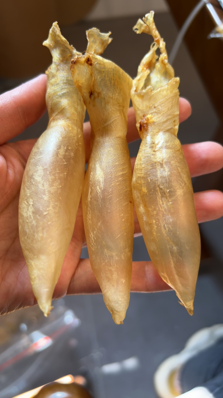 琰钰鱼胶 蜘蛛公100克