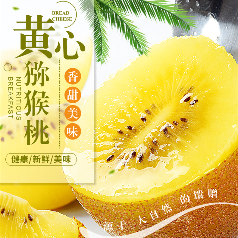 福建产地直送自然熟品质佳新鲜水果金果奇异果黄心猕猴桃果汁充沛