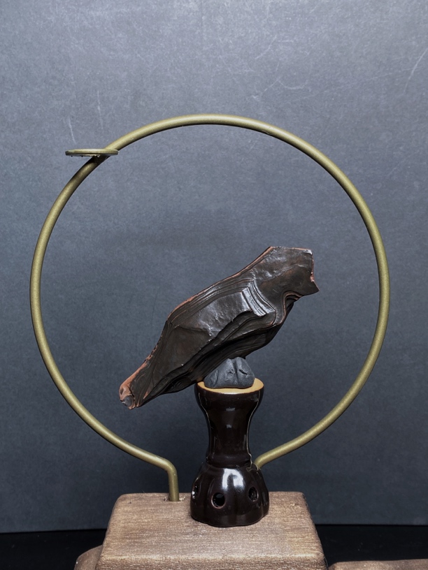 阿拉善 戈壁石 老皮子