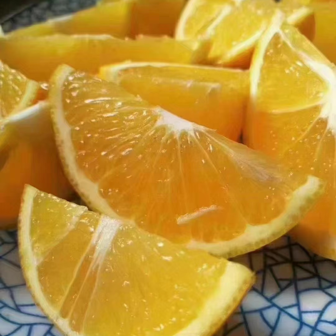 【麻阳冰糖橙】25斤/包邮 很甜/新鲜 福利