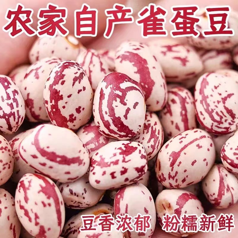 【25年新圆颗雀蛋豆】贵州雀蛋豆子奶花芸豆花生豆五谷杂粮特产