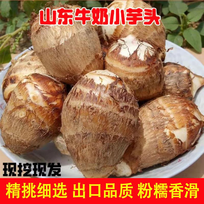新鲜应季农家自种3-9斤牛奶软糯小芋头新鲜香芋香糯软整箱包邮