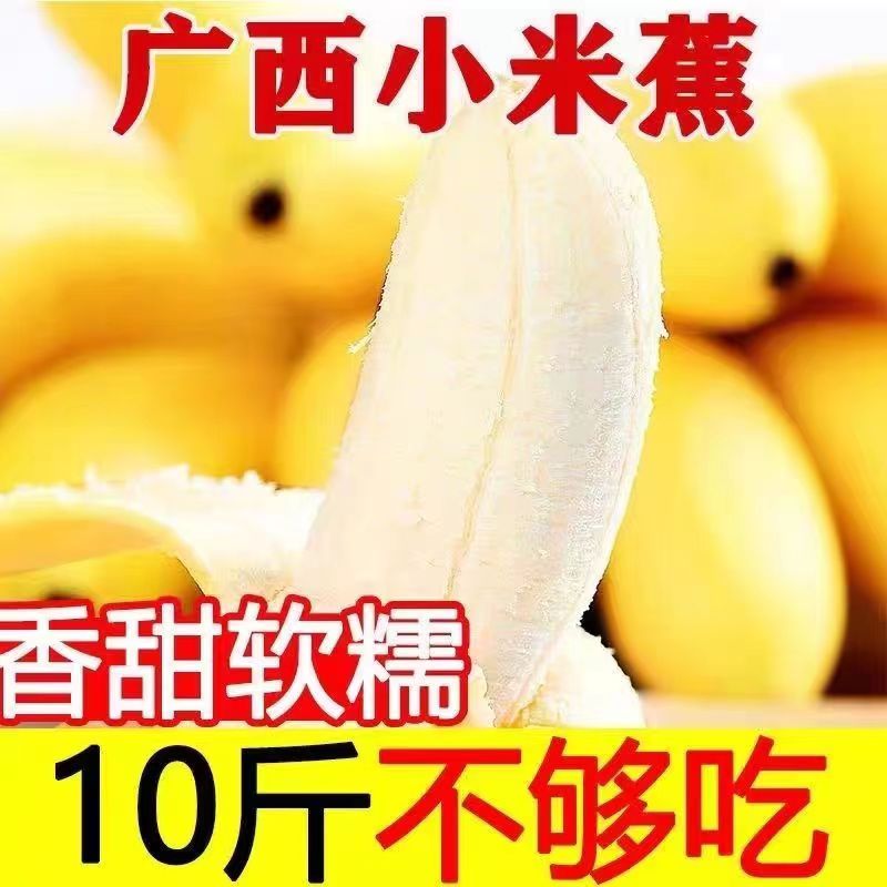 当季正宗小米蕉香蕉2-9斤新鲜水果当季鲜苹果蕉自然熟粉蕉包邮