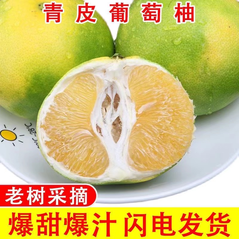 青柚水果沙田白糖蜜柚口感蜂蜜柚3-9斤现摘青皮白心柚子整箱包邮