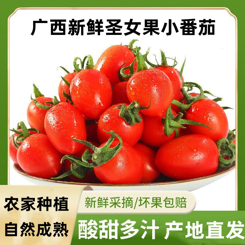 圣女果新鲜现摘水果1-5斤西红柿农家自然熟蔬菜生吃千禧小番茄
