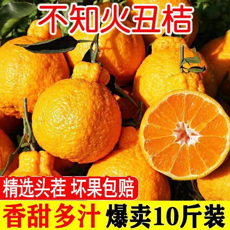 不知火丑橘新鲜2-9斤粑粑丑八怪柑橘耙耙桔子整箱现摘鲜果超甜