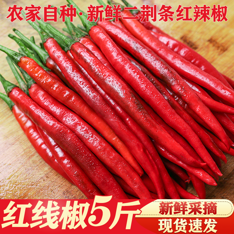 新鲜小米椒新鲜辣椒现摘农家1-5斤小米辣椒红辣椒朝天椒指天椒