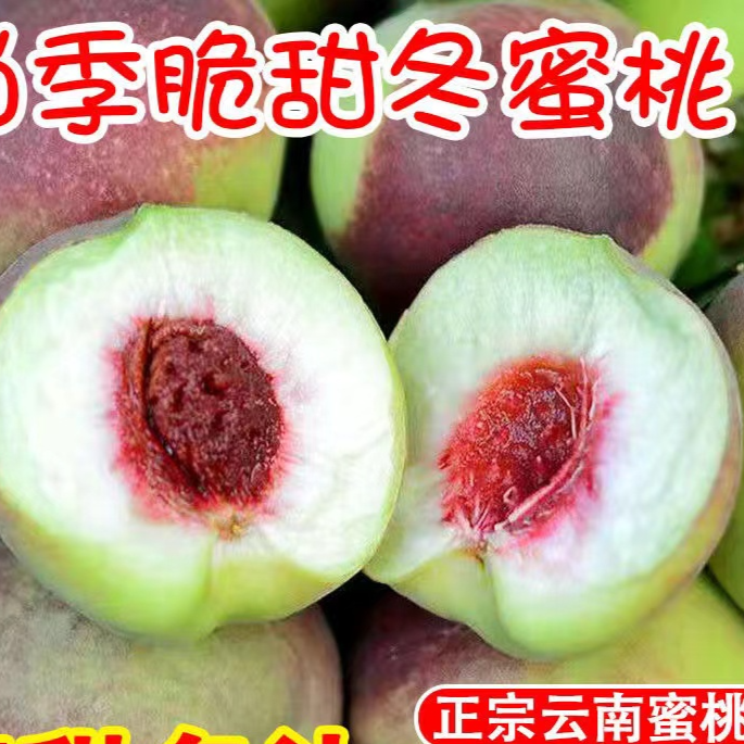 正宗桃子新鲜当季红心脆甜雪冬桃当季3-5斤水果现摘现发整箱包邮