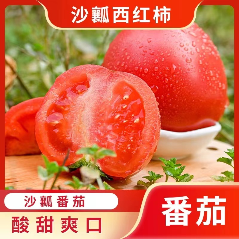 新鲜现摘番茄自然熟大西红柿3-5斤新鲜蔬菜普罗旺斯番茄水果包邮