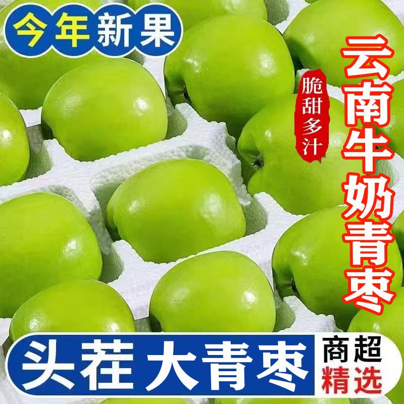 牛奶大青枣1-8斤当季现摘新鲜枣脆甜蜜枣贵妃冬枣孕妇水果包邮