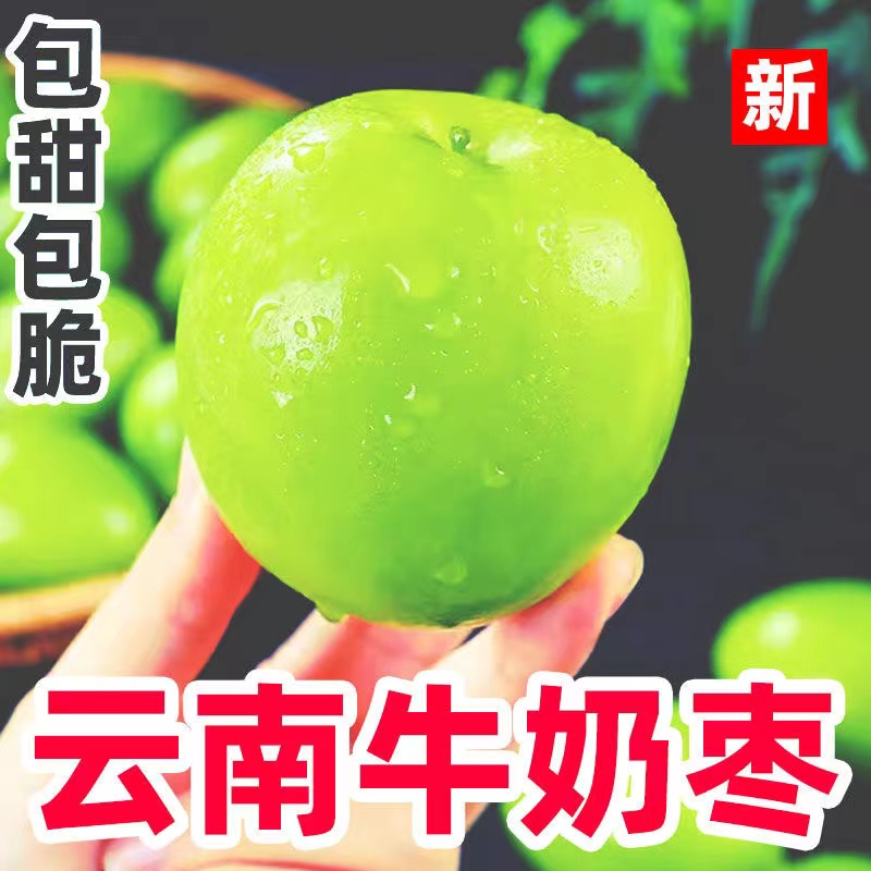 牛奶大青枣大枣新鲜1-9斤现摘口感脆枣水果大荔冬枣长枣整箱包邮