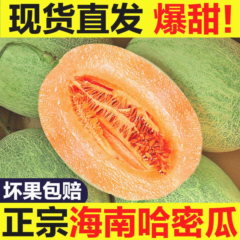 正宗海南哈密瓜3-9斤新鲜水果应当季整箱香甜非西洲网纹蜜瓜包邮