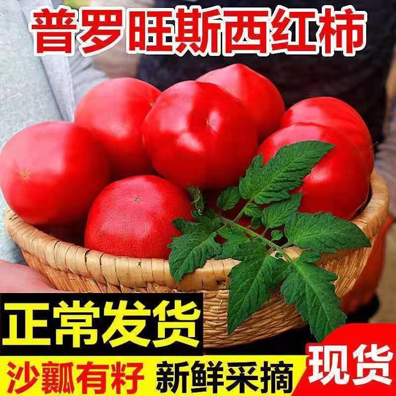 普罗旺斯生吃西红柿3-5斤新鲜沙瓤大番茄自然熟水果粉柿子包邮