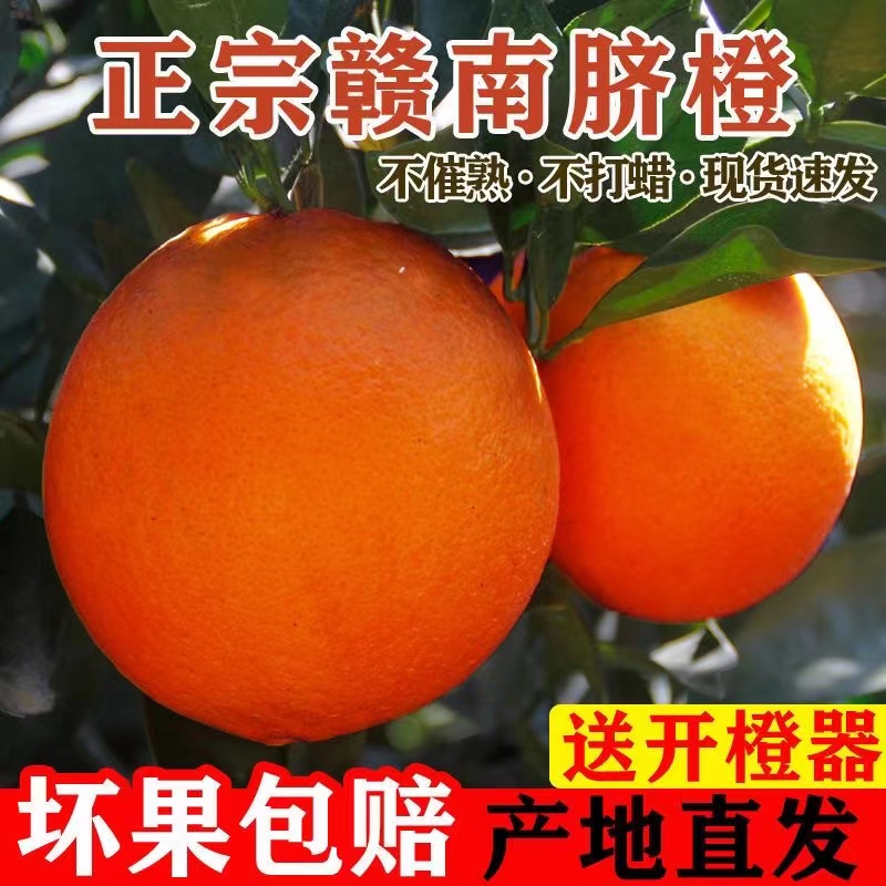 正宗脐橙橙子3-9斤新鲜应季水果口感爽口果冻手剥冰糖甜橙包邮