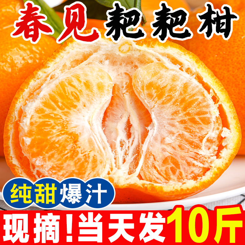 正宗春见耙耙柑粑粑柑3-9斤甜橘子当季整箱新鲜水果丑柑桔包邮
