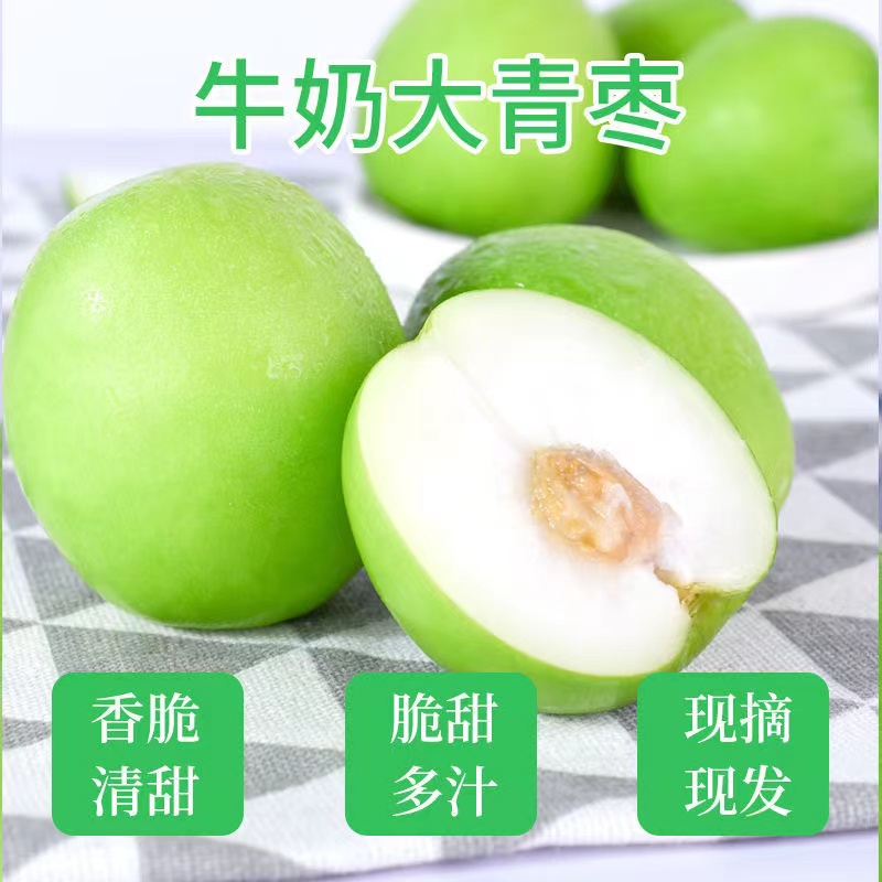 牛奶大青枣超甜大枣新鲜现摘当季1-8斤水果大荔冬枣长枣整箱包邮