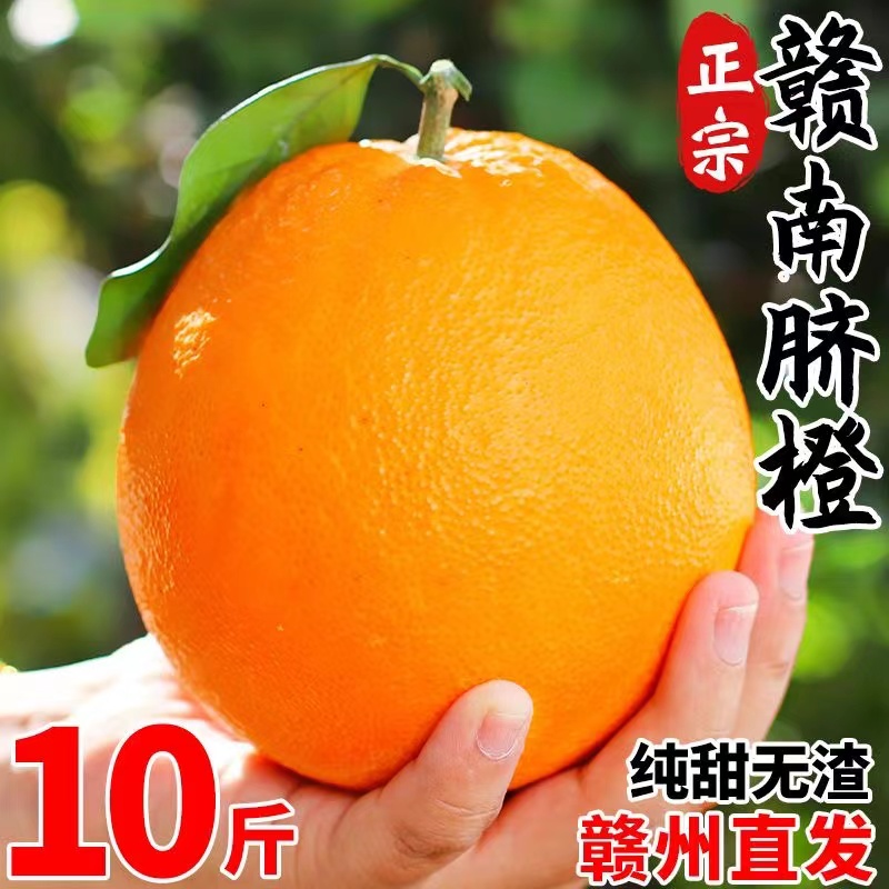 新鲜橙子应季当季5-9斤现摘脐橙水果酸甜可口多汁手剥整箱包邮