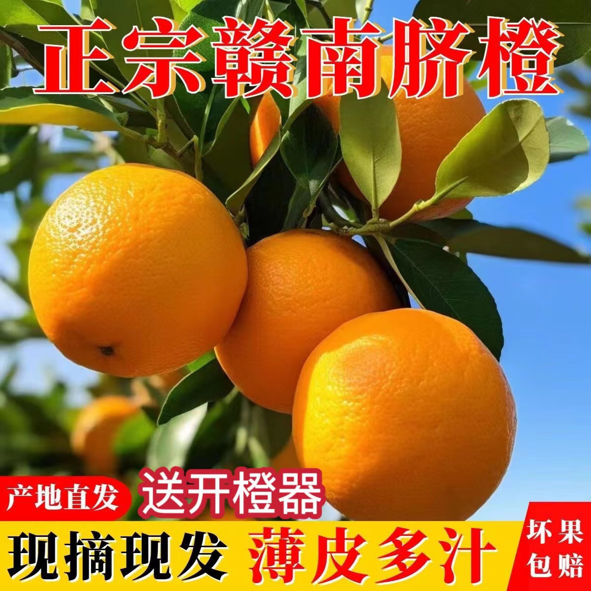 新鲜脐橙整箱孕妇水果当季3-9斤水果冰糖冻橙子甜榨汁专用包邮