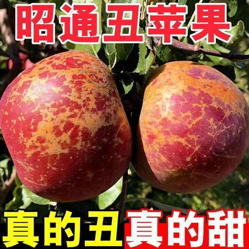现摘苹果新鲜生当季水果冰糖心红露丑苹果野苹果口感脆甜5斤苹果