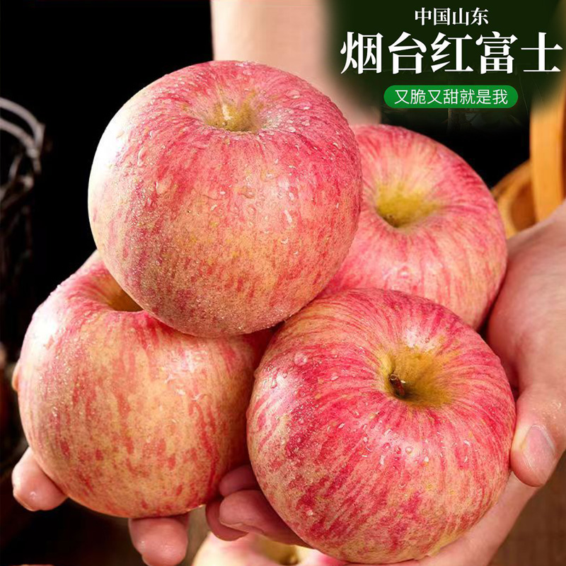 正宗烟台栖霞红富士苹果脆皮甜爽皮薄多汁产地直发2024新果肉现摘