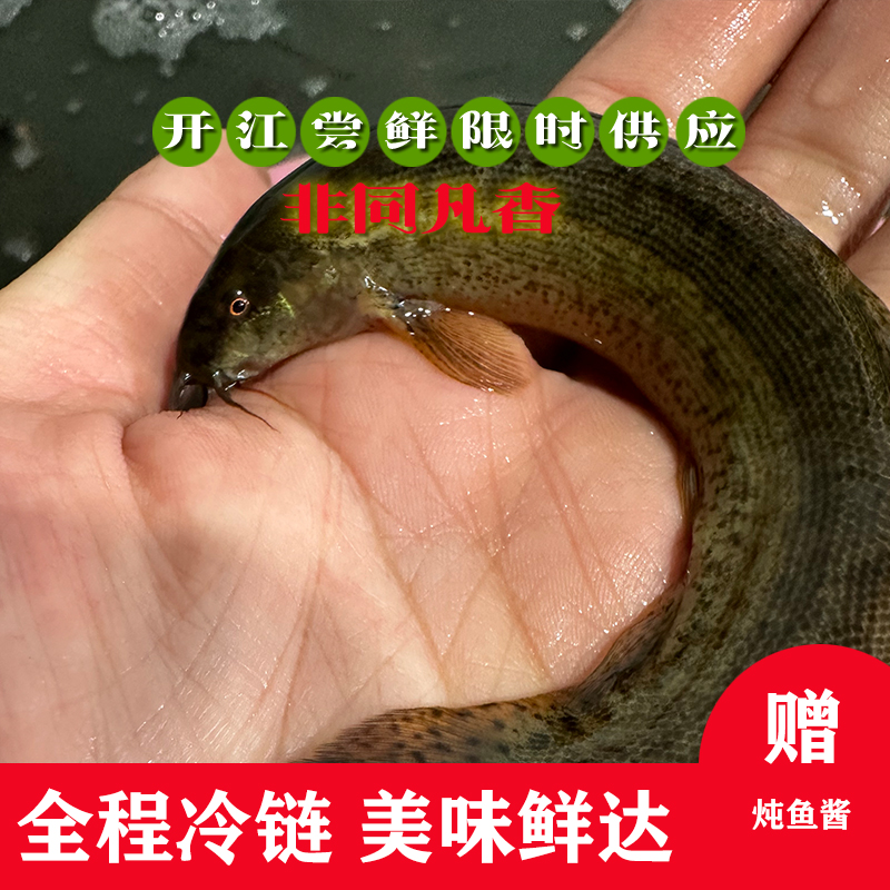 东北冷水野生泥鳅活体发货买2赠2，到手4斤，京东包邮！
