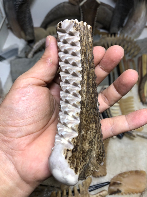 小春角梳专拍链接