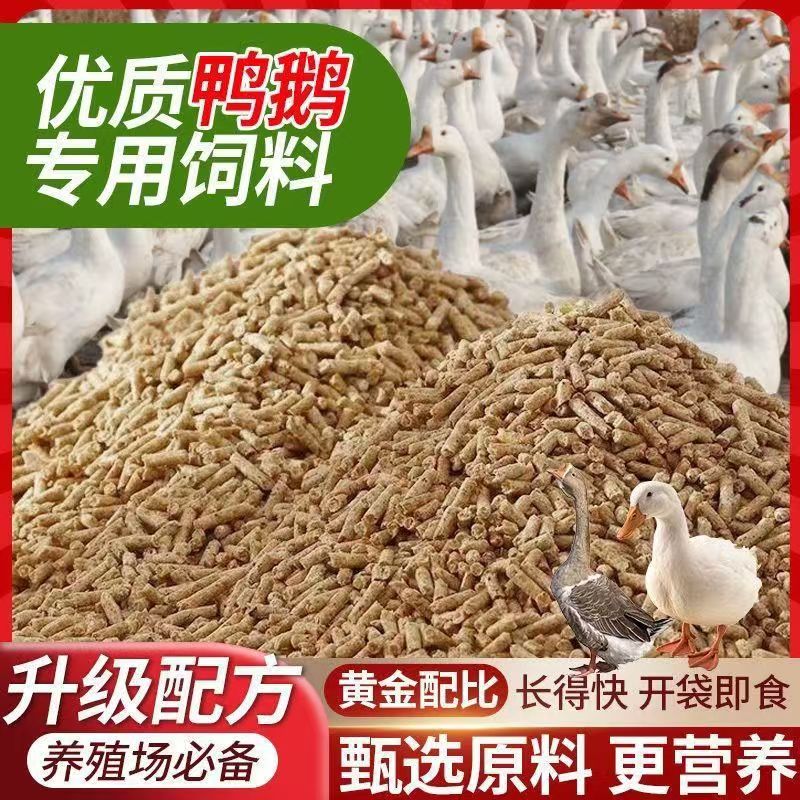 家禽饲料活禽饲料鸭鹅鸡饲料
