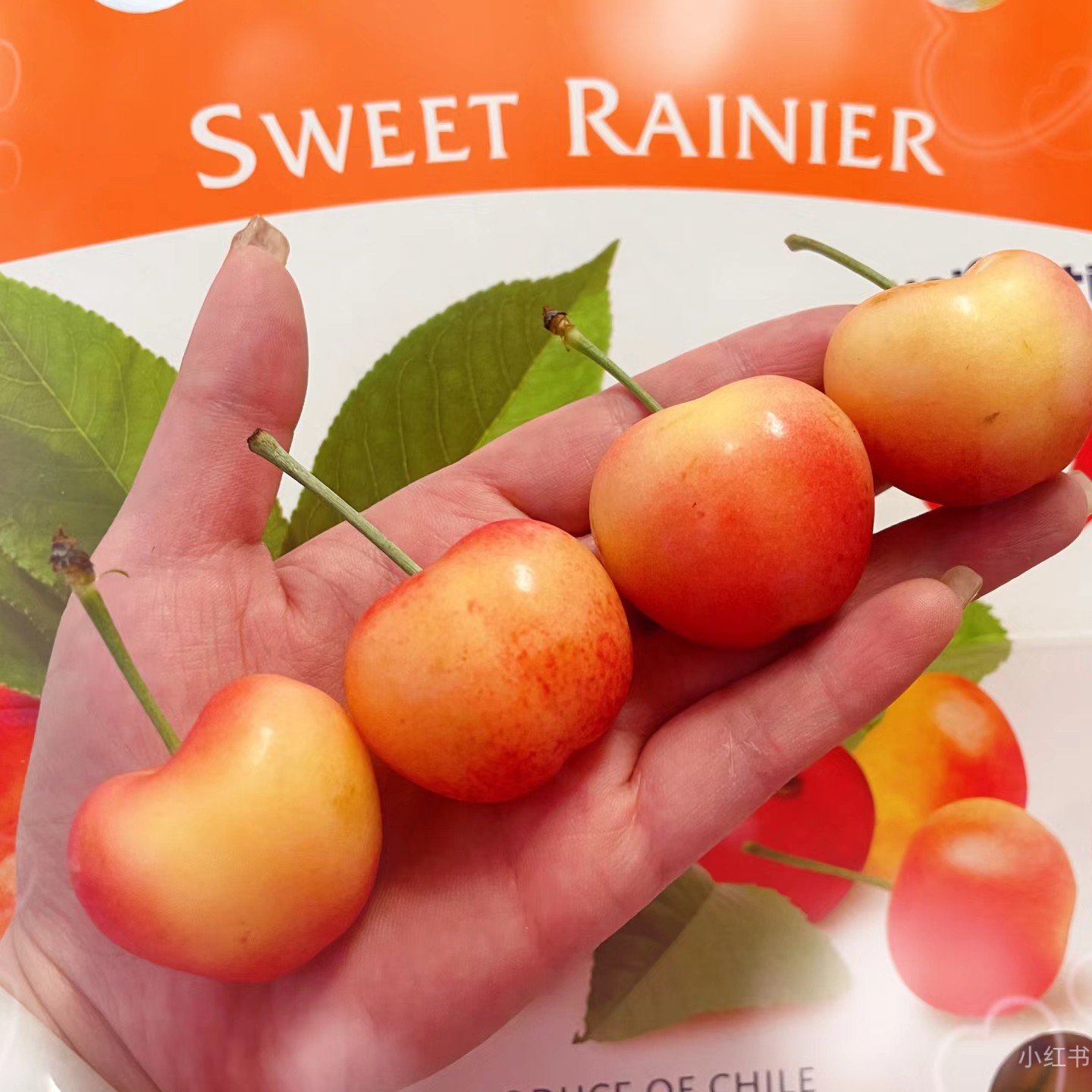 智利空运雷尼尔黄车厘子JKG进口顺丰礼盒新鲜水果 内附果径卡