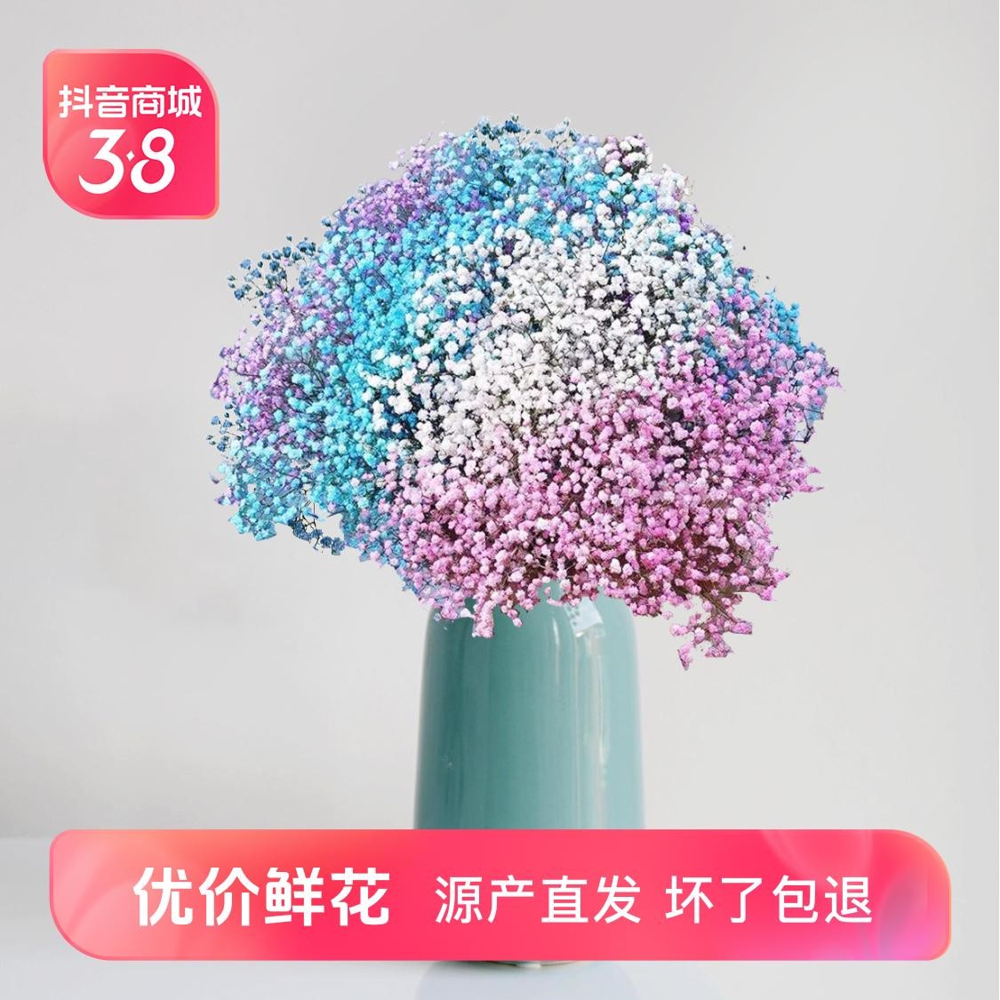 云南鲜花基地直发产品满天星鲜花（可做干花）日常瓶插风干半干新鲜