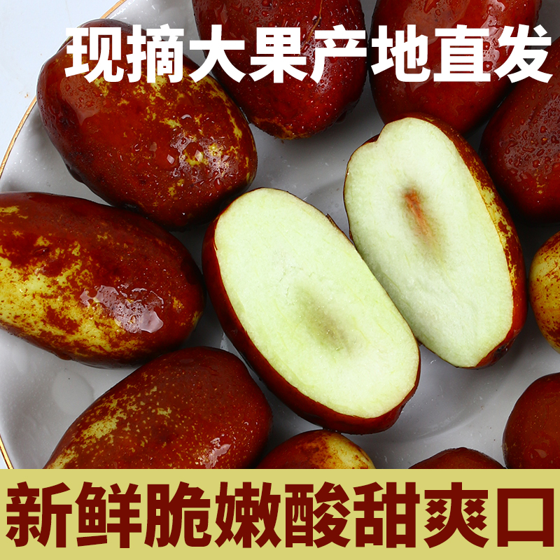 小果【顺丰速运】产地直发 脆甜可口灵武长枣 甜枣 枣 红枣皮薄送礼