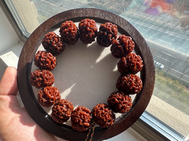 原生态24+尺寸双龙蜂窝梅花大金刚菩提