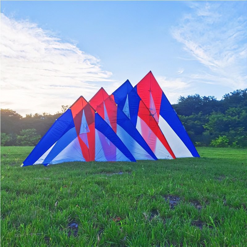 王侉子544伞布大型风筝碳杆结实大小多款放飞正品保质保真成年人