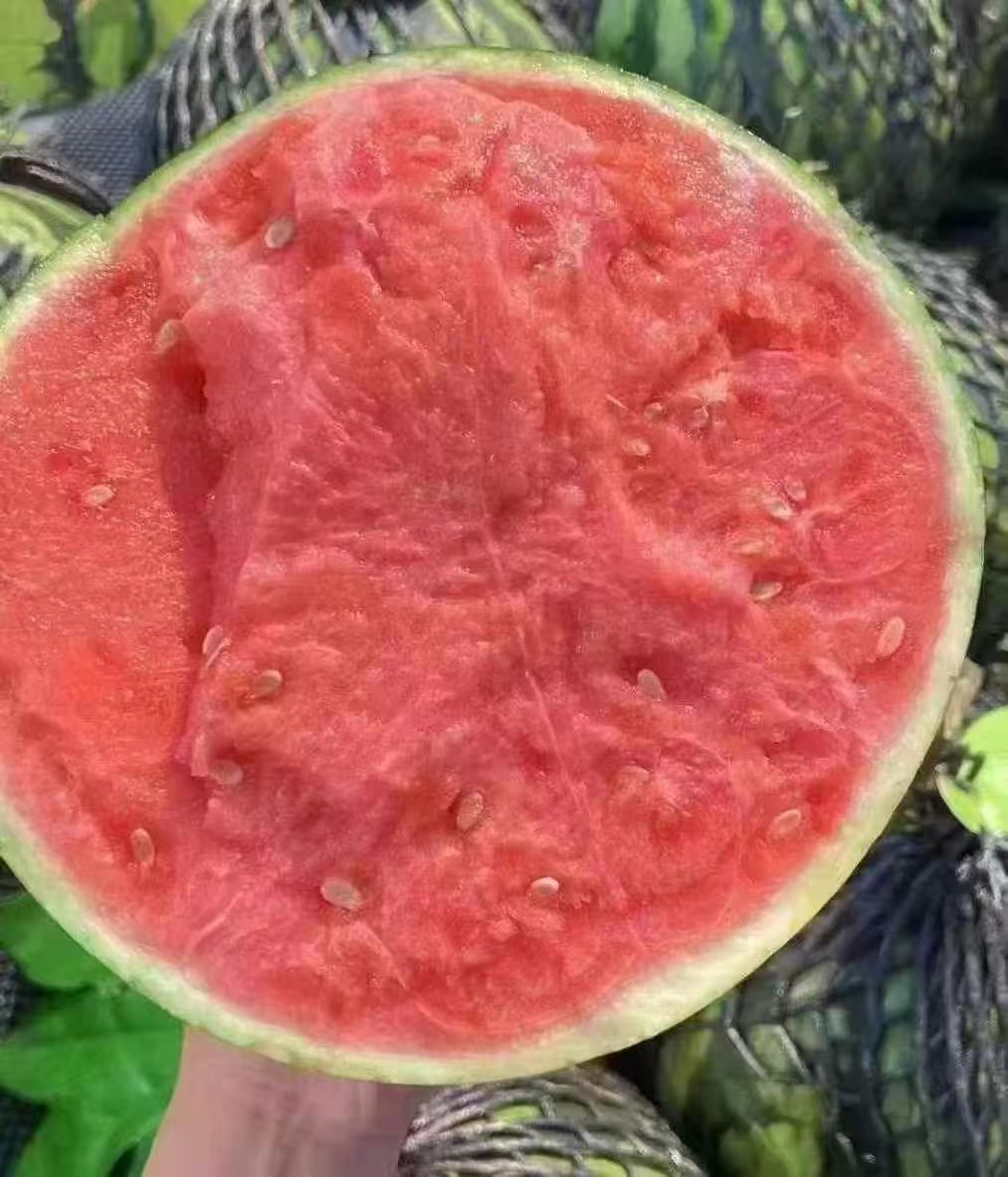 莒南同城配送到家 鲜果小时达 麒麟西瓜切盒西瓜同城配