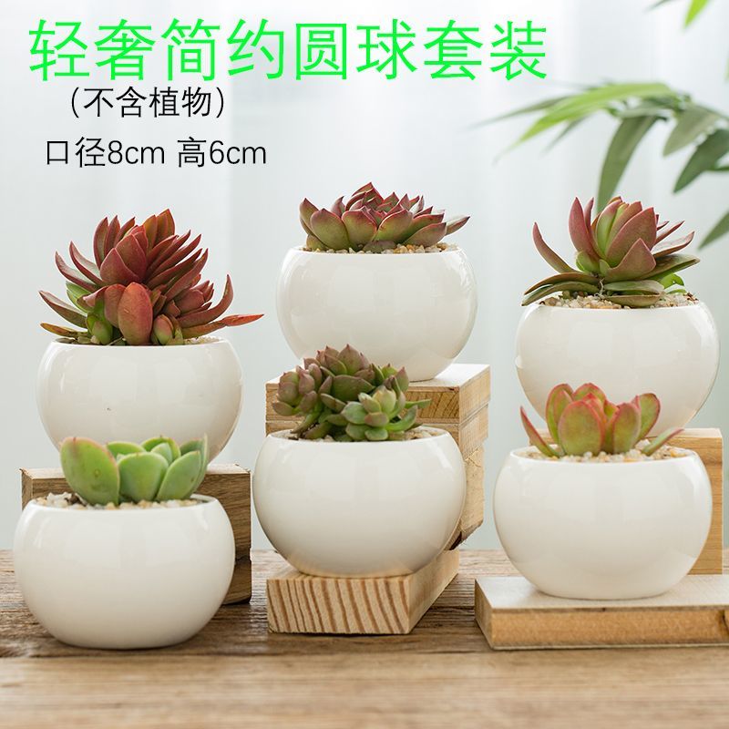 花盆陶瓷花盆多肉花盆清仓捡漏绿植花卉盆栽小肉肉花盆批发大口径