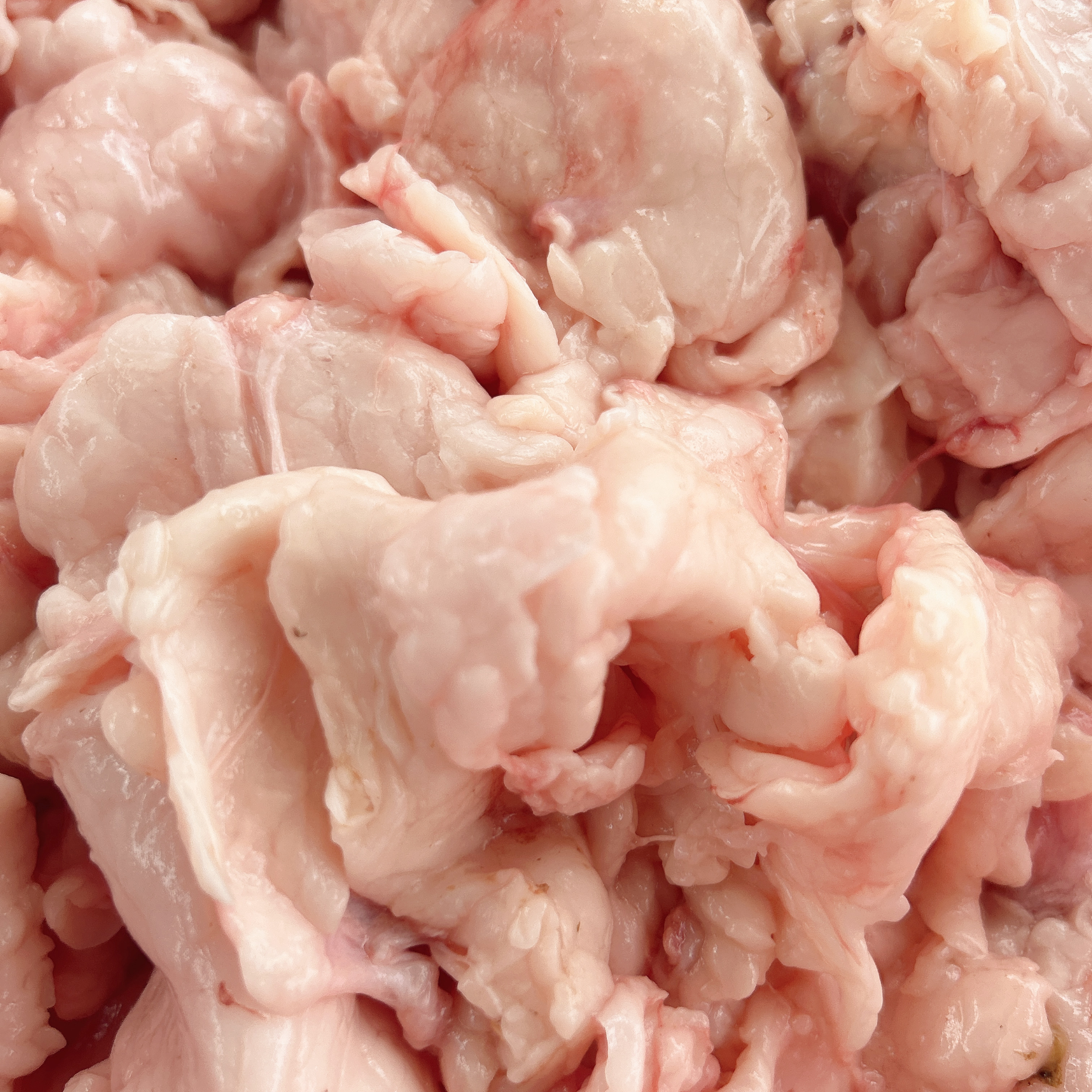 新鲜生鹅油 农家散养黑棕鹅油 新鲜现杀现取鹅油