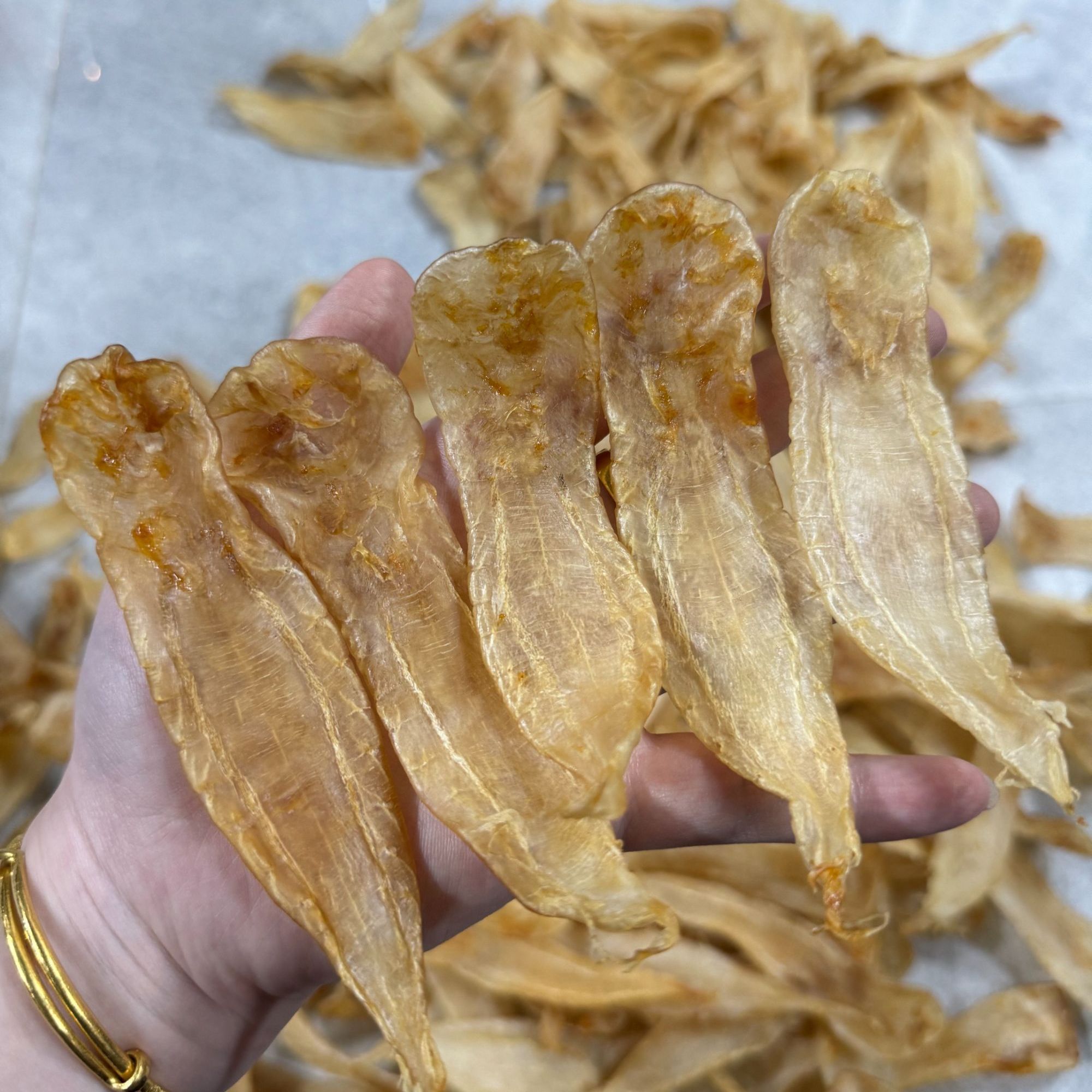 【鑫钗】直播间鱼胶代拍链接（慎拍）